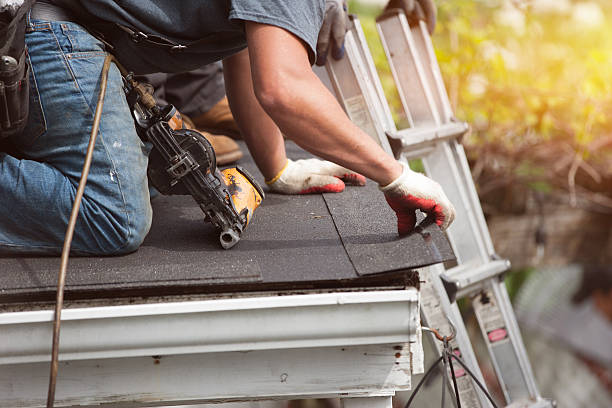 Best Metal Roofing Contractor  in Elleale, ND