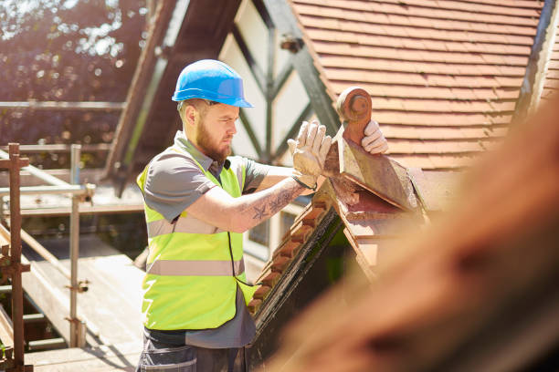 Best Roof Maintenance Services  in Elleale, ND